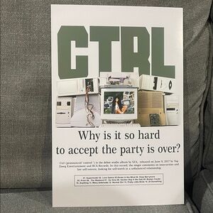 SZA CTRL Poster Green and White Why is It so Hard to accept the party is over?